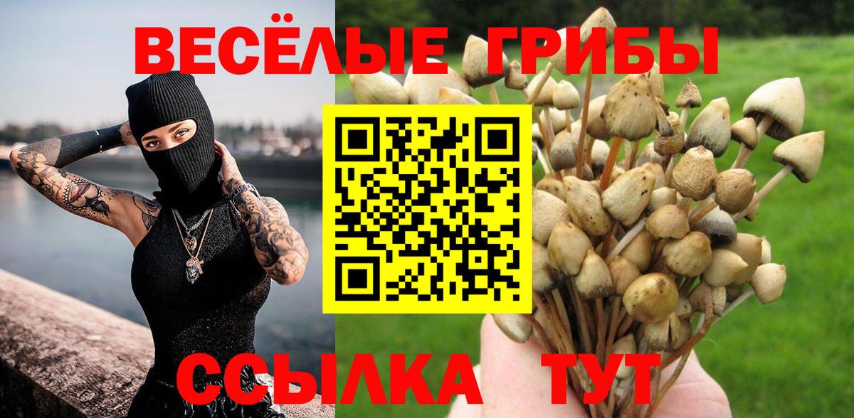 Псилоцибиновые грибы Psilocybine cubensis Тольятти