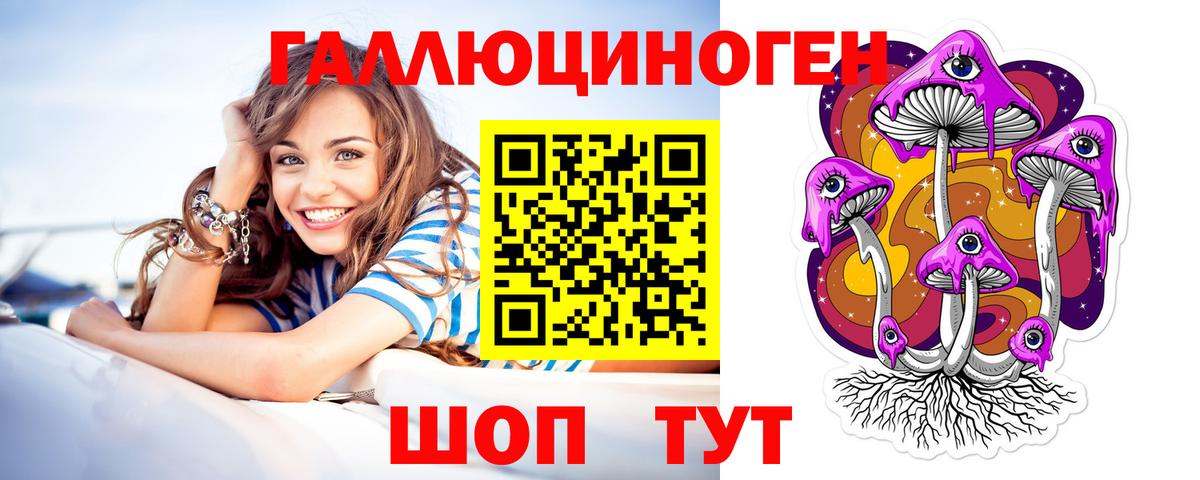 Тольятти  Псилоцибиновые грибы GOLDEN TEACHER  Вход с VPN 